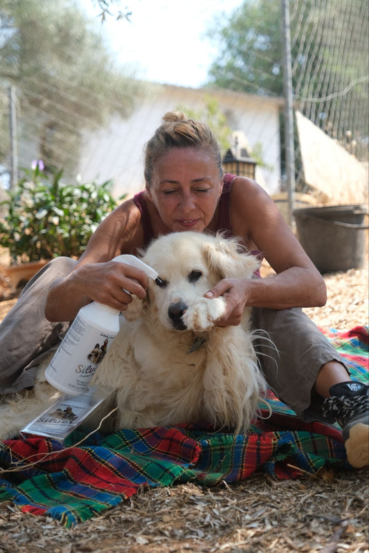 Silver Animal Spray - 1000 ml.