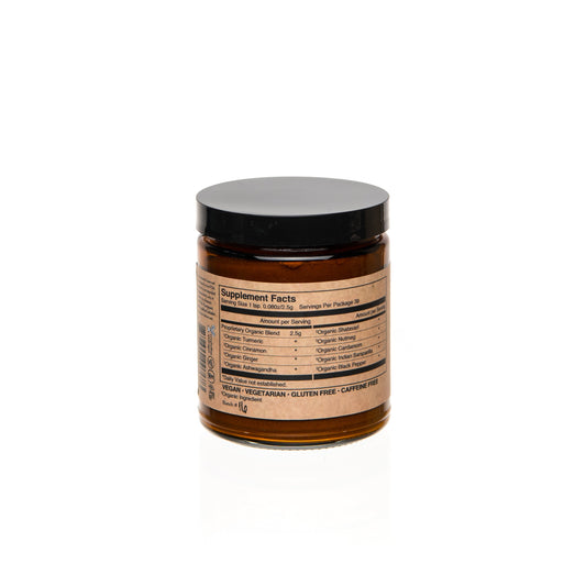 Paavani Ayurveda - Golden Milk | Ayurvedic Turmeric Latte Blend with Ashwagandha & Shatavari