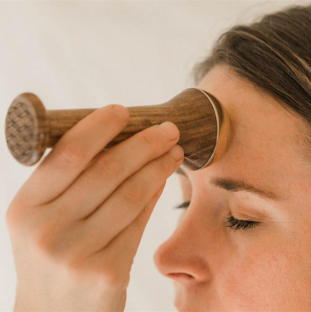 Paavani Ayurveda - Radiant Skin Ritual | Ayurvedic Kansa Wand Facial Massage Kit