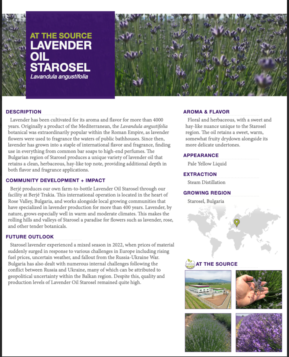 Whipped Tallow Trio - Scented (9oz)