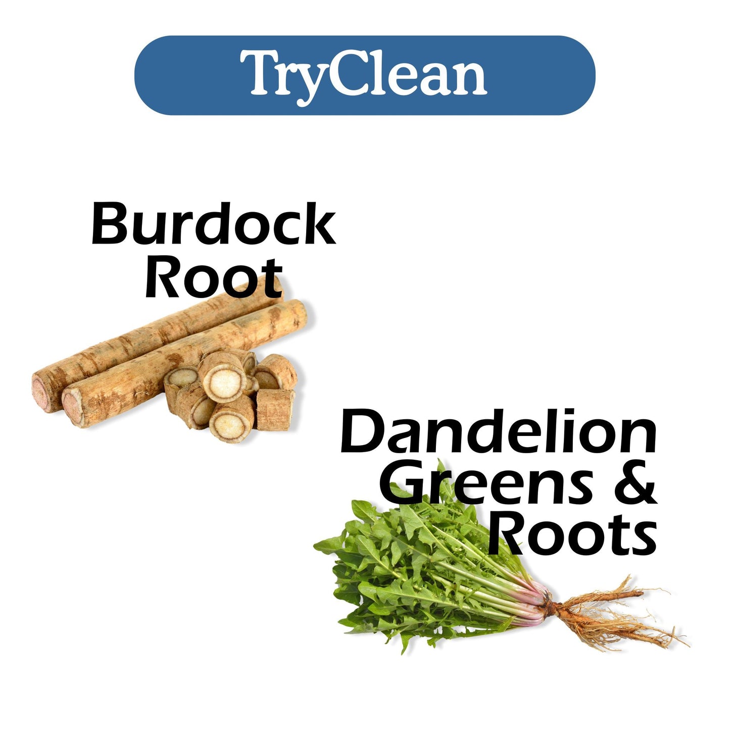 TryClean Bundle