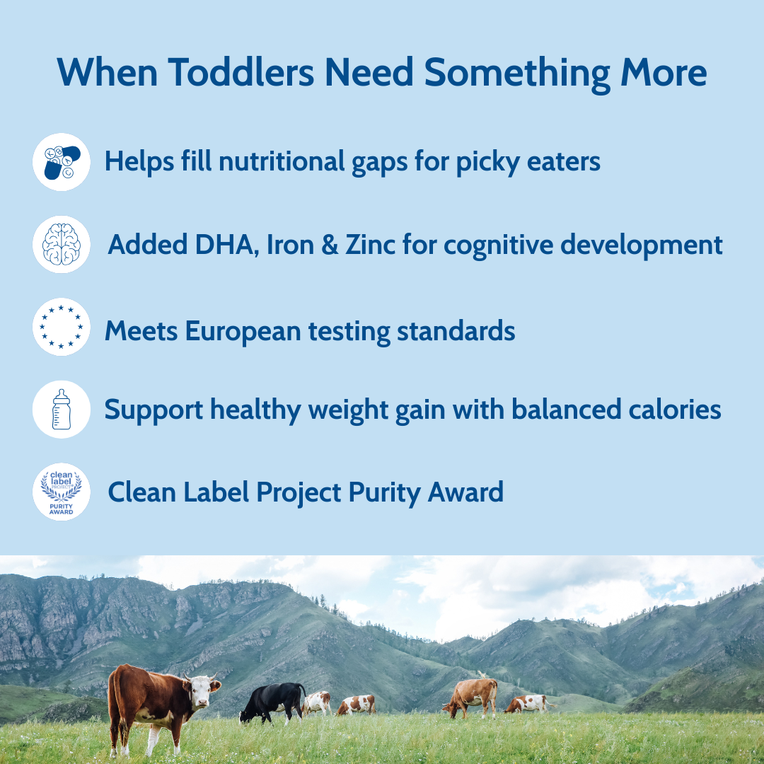 Holle Cow Milk Toddler Drink | Stage 3 (14 oz)