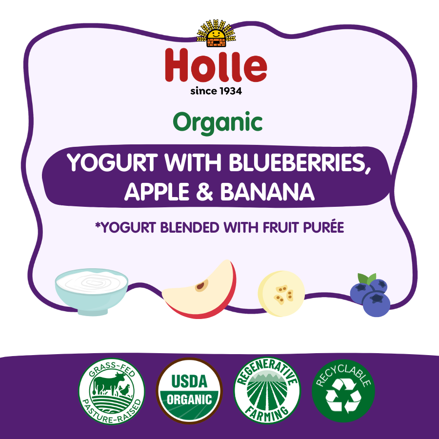 Holle Organic Yogurt Pouches - Blueberries, Apple & Banana
