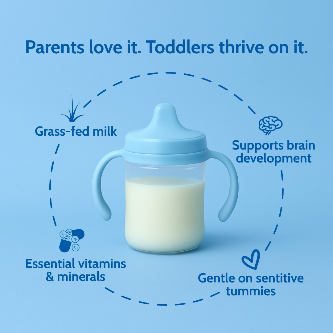 Intro Offer - Holle Cow Milk Toddler Drink - Stage 3 | Non GMO (14 oz)